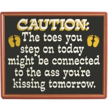 The Toes You Step On Humorous Wood Sign