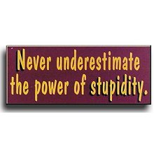 Power of Stupidity Humorous Wood Sign