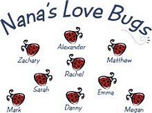 Love Bugs Personalized Checkbook Covers