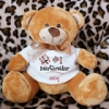 Personalized Valentine's Day Teddy Bears