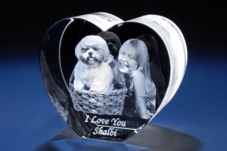 Pets 3D Laser Scan Gifts