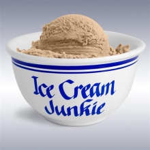 Ice Cream Junkie Ice Cream Bowl